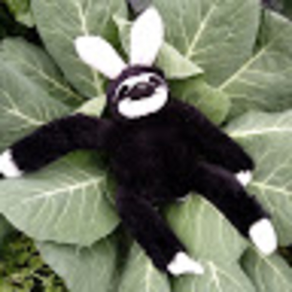 Meet your Posher, Gloria